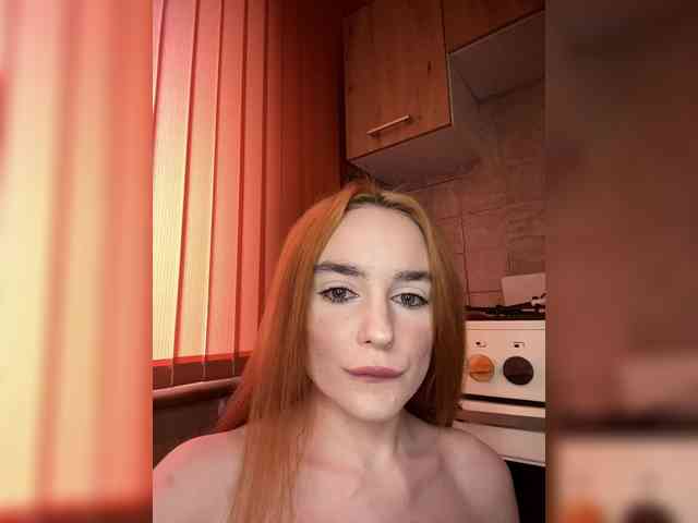 desorwss webcam