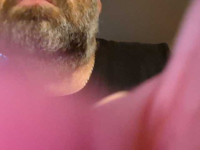 Pitrss166