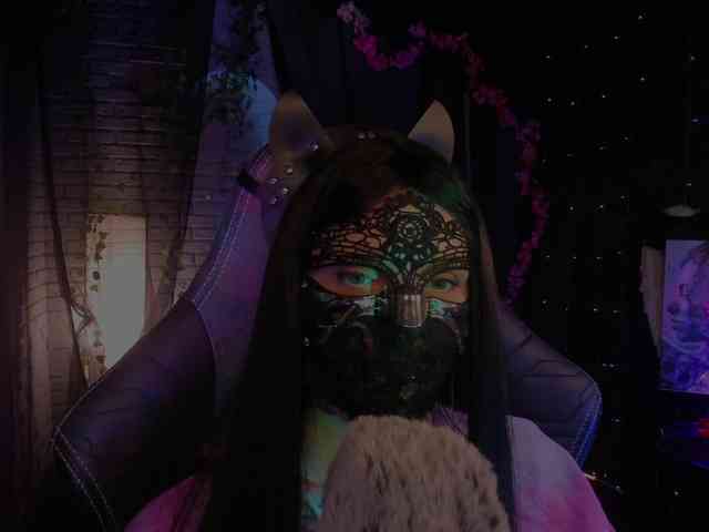 Li-Drago webcam