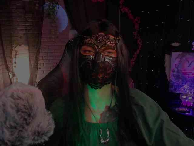 Li-Drago webcam