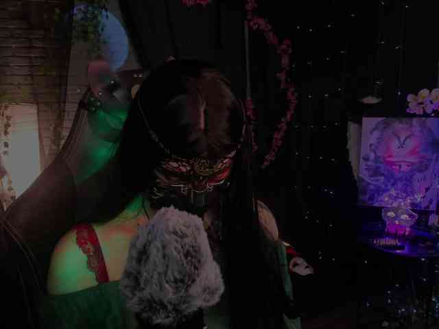Li-Drago webcam