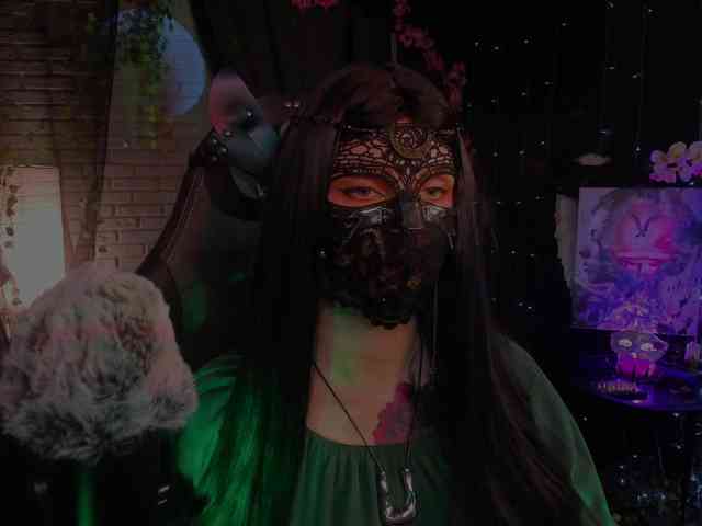 Li-Drago webcam