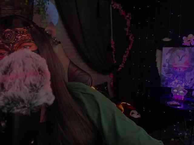 Li-Drago webcam