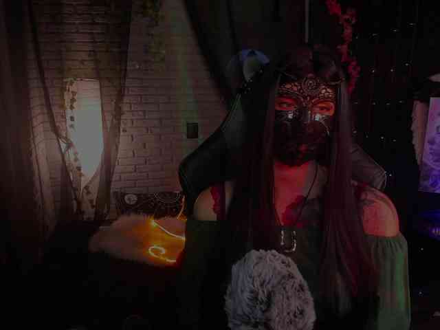 Li-Drago webcam