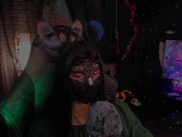 Li-Drago webcam