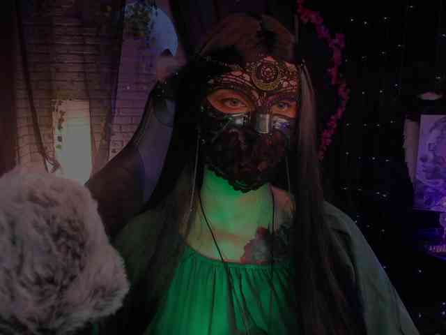 Li-Drago webcam