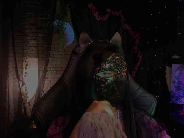 Li-Drago webcam