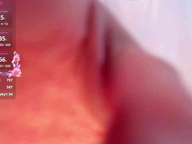 AnoraMelody webcam