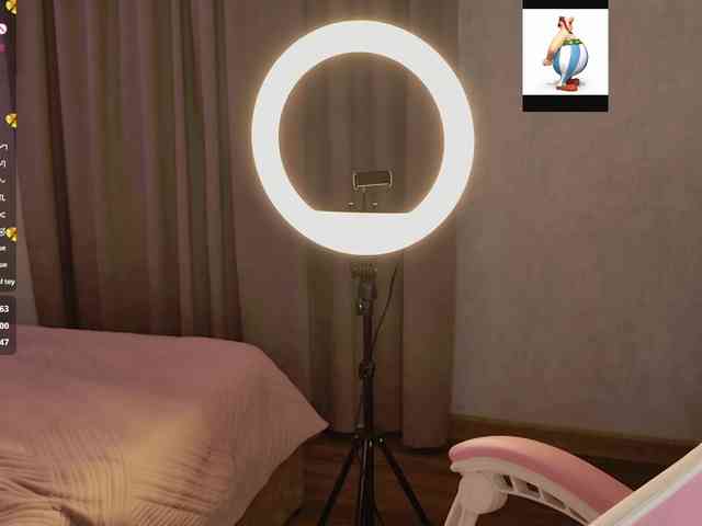 AnoraMelody webcam