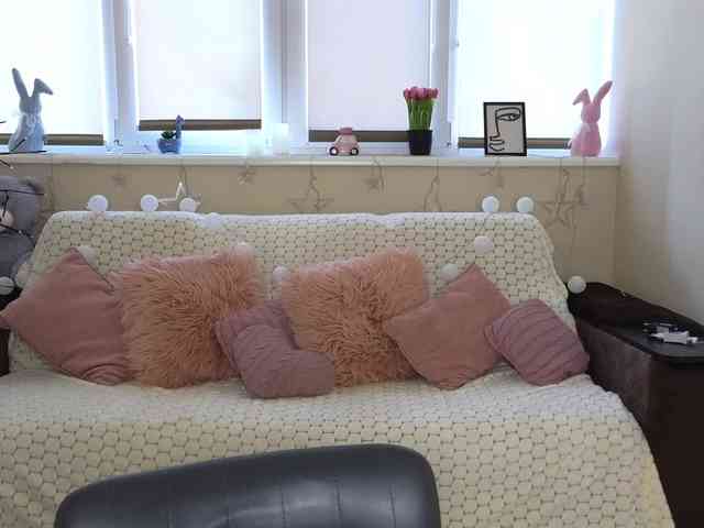 KisaPurr webcam