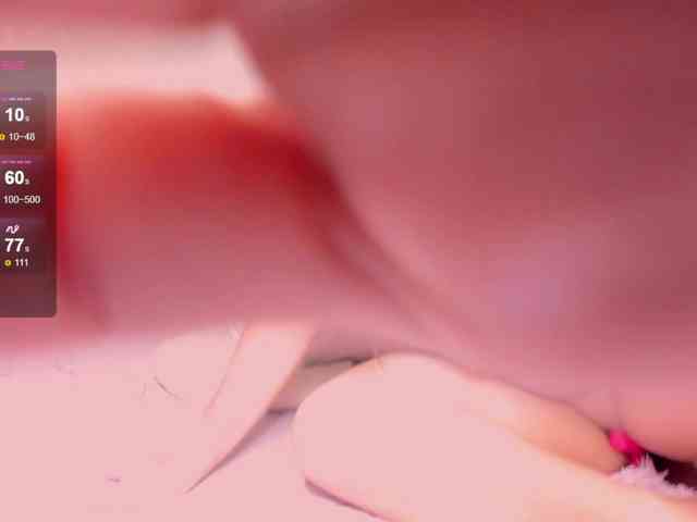 reyniri webcam