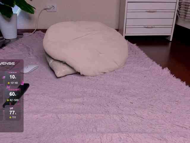 reyniri webcam