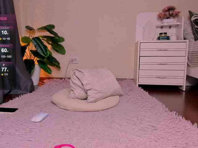 reyniri webcam