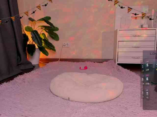 reyniri webcam