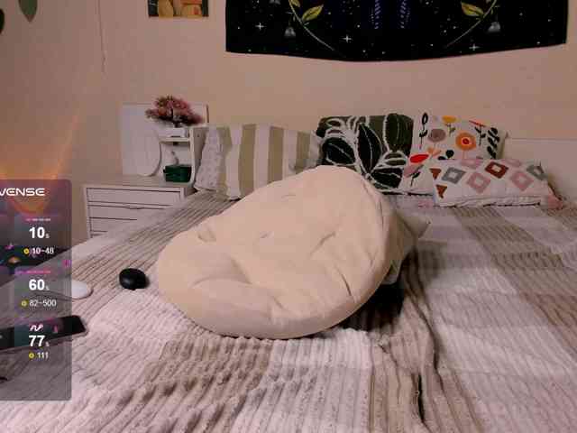 reyniri webcam
