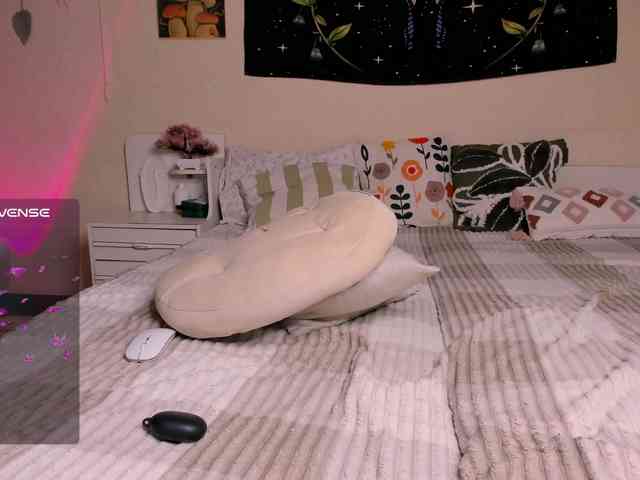 reyniri webcam