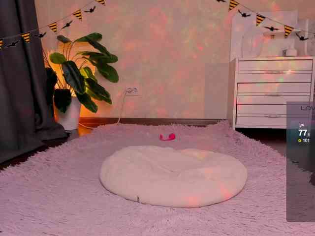 reyniri webcam