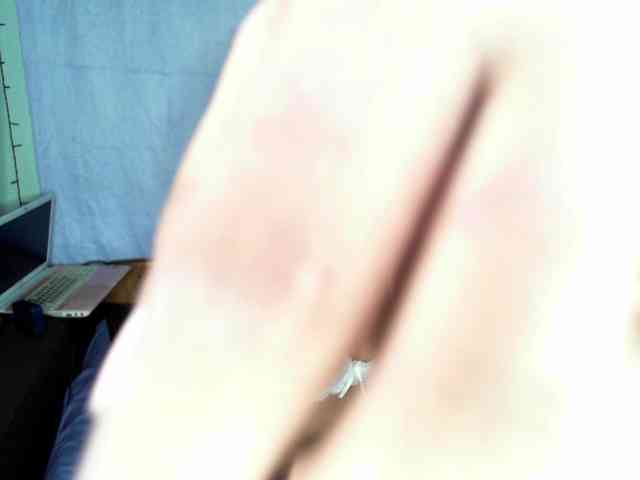 AmelieAndJames0919 webcam