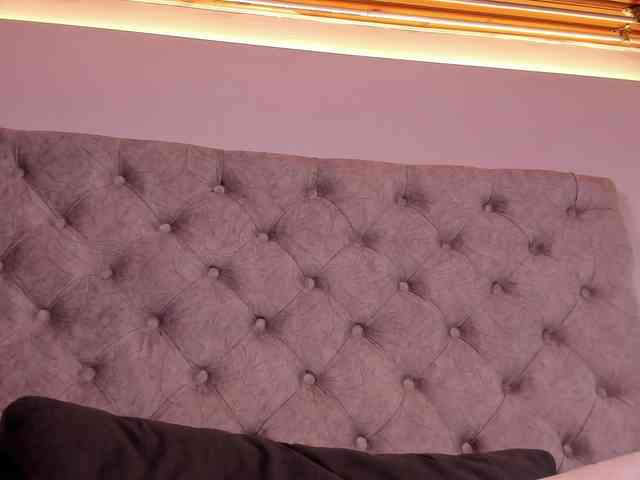 THALIA-WOLF webcam