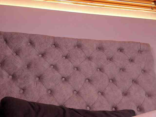 THALIA-WOLF webcam