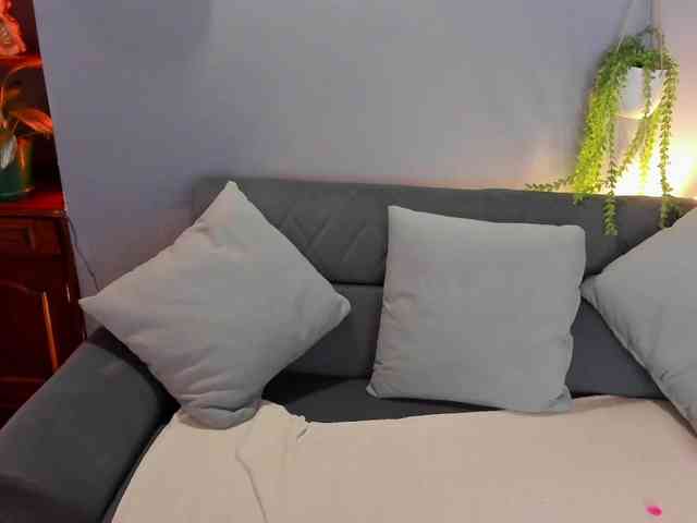 THALIA-WOLF webcam