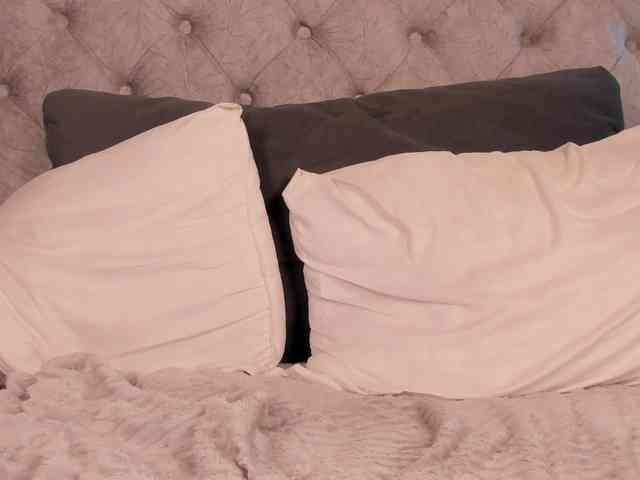 THALIA-WOLF webcam