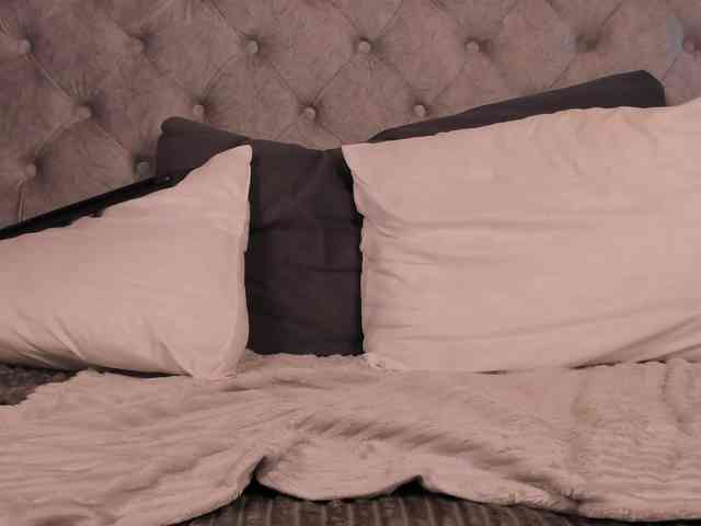 THALIA-WOLF webcam