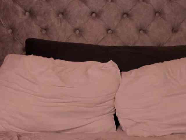 THALIA-WOLF webcam