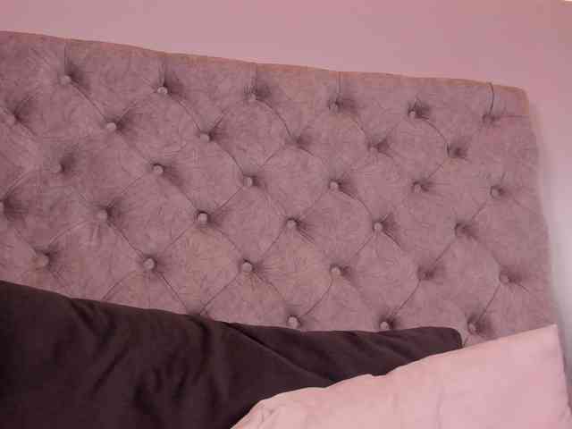 THALIA-WOLF webcam