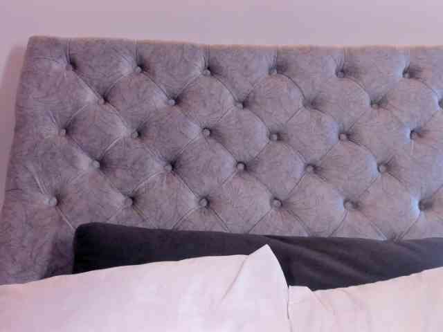 THALIA-WOLF webcam