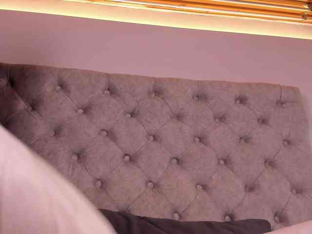 THALIA-WOLF webcam