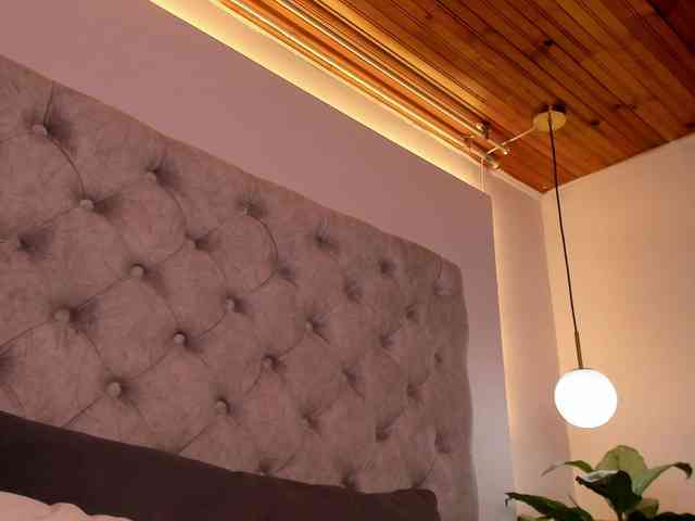 THALIA-WOLF webcam
