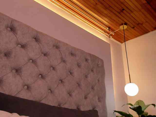 THALIA-WOLF webcam