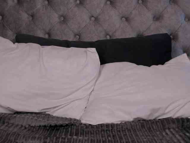 THALIA-WOLF webcam