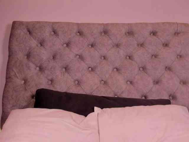 THALIA-WOLF webcam