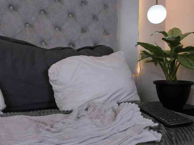 THALIA-WOLF webcam