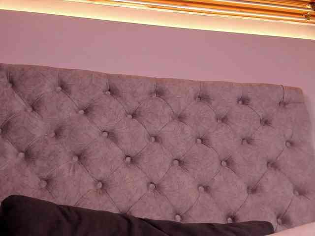 THALIA-WOLF webcam