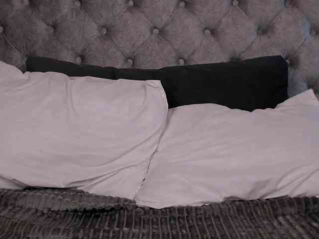 THALIA-WOLF webcam