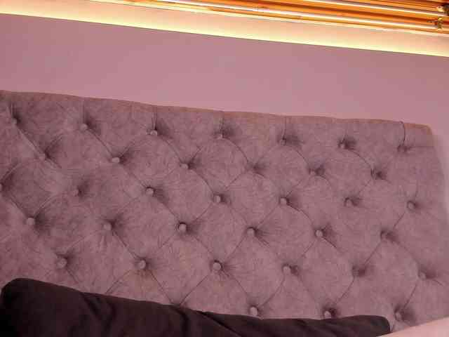 THALIA-WOLF webcam