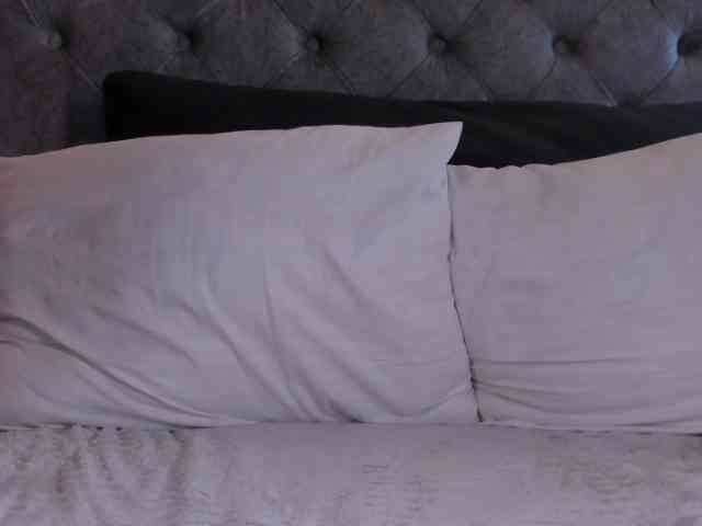 THALIA-WOLF webcam