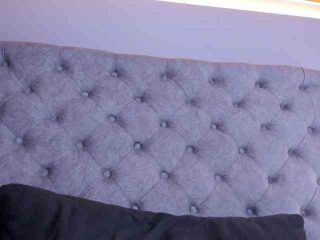 THALIA-WOLF webcam