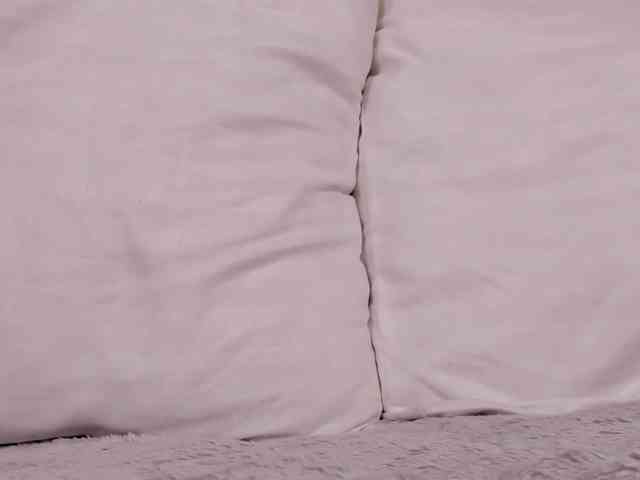 THALIA-WOLF webcam