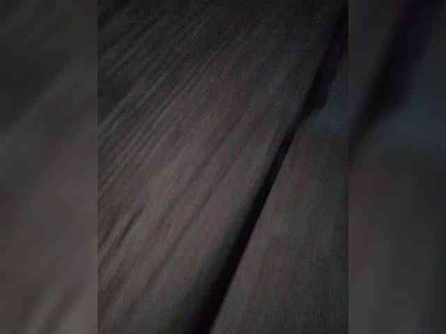 Dream25a webcam
