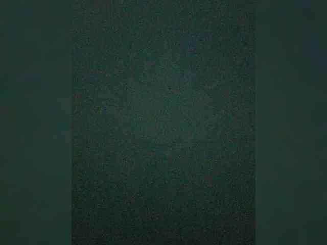 Avocadic22 webcam
