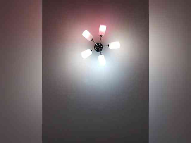 Avocadic22 webcam