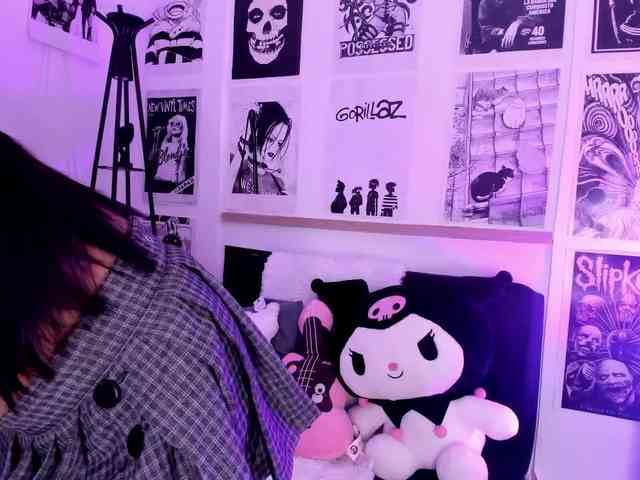 Nicolfisher webcam