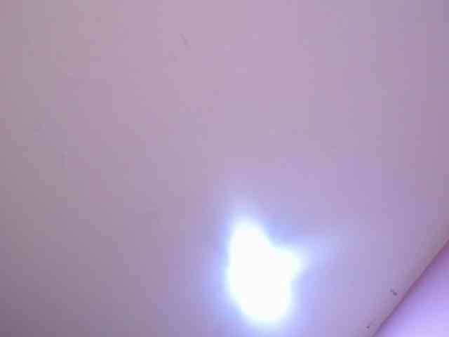 PaulinaPearl webcam