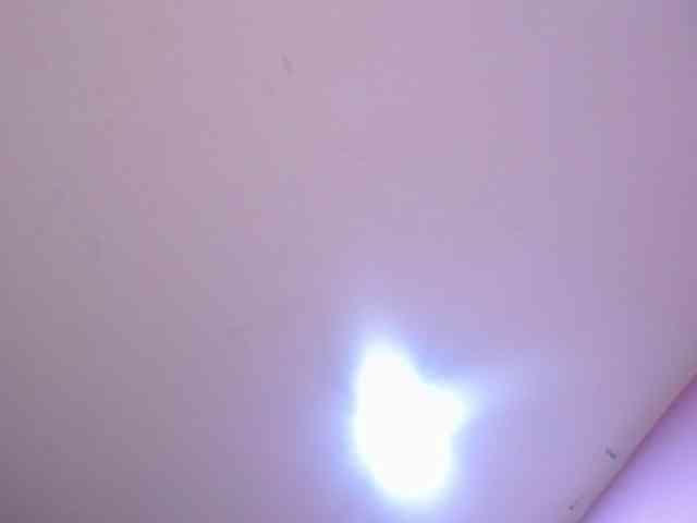 PaulinaPearl webcam
