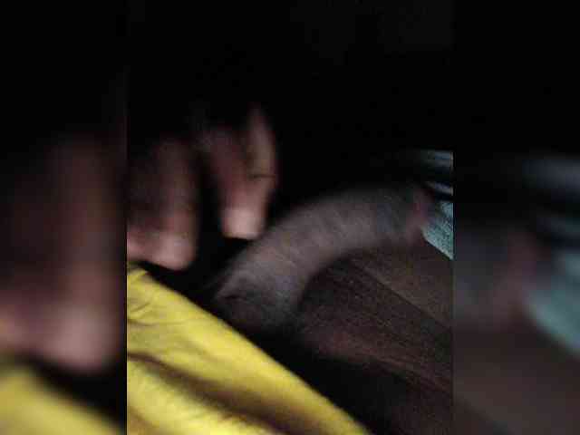 Trippeee