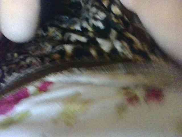 AnutkaForeva webcam